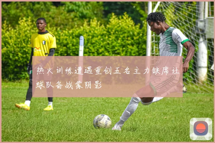 热火训练遭遇重创五名主力缺席让球队备战蒙阴影