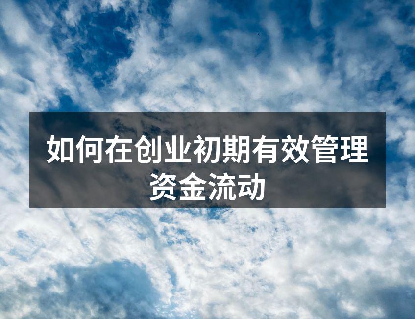 如何在创业初期有效管理资金流动