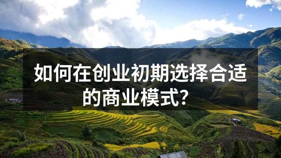 如何在创业初期选择合适的商业模式？