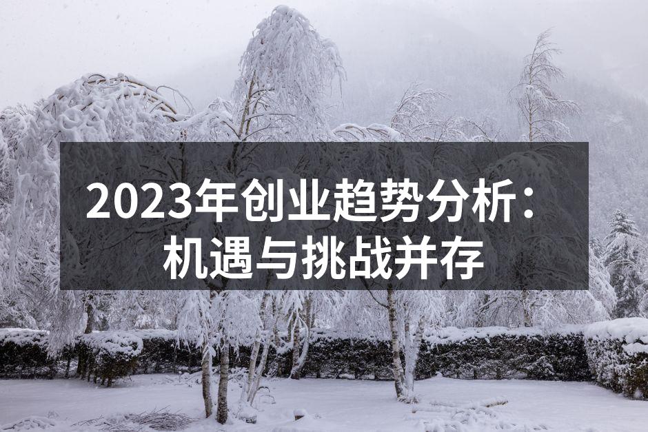 2023年创业趋势分析：机遇与挑战并存